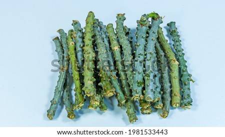 Tinospora cordifolia local name guduchi, and giloy, is an herbaceous vine of the family Menispermaceae indigenous to the tropical areas of India use as Ayurveda medicine
