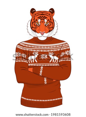 Serious tiger in a sweater with a winter pattern with deer. Vector print illustration for sweatshirts, sweatshirts, t-shirts, posters, cards, pet supplies