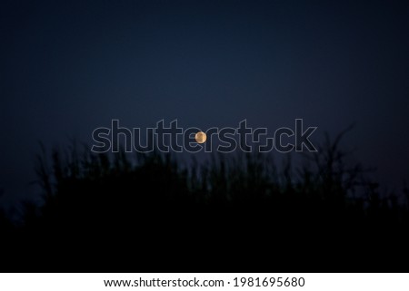 Picture of full moon against twilight with grass.