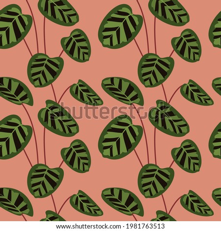Simple minimal green calathea leaves tropical seamless pattern. Pink background. Flat jungle foliage modern texture. Stock vector illustration. Royalty-Free Stock Photo #1981763513