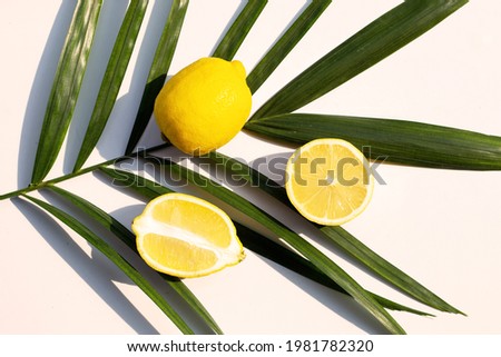Fresh lemon on tropical palme leaves on white background. Top view