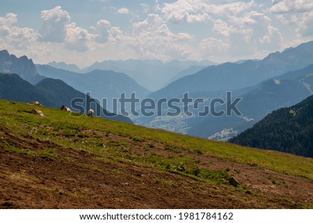Views of the Dolomites at the Sella Pass in Val Gardena, Trentino Alto Adige, at the foot of the Sasso Lungo and the Sella Group