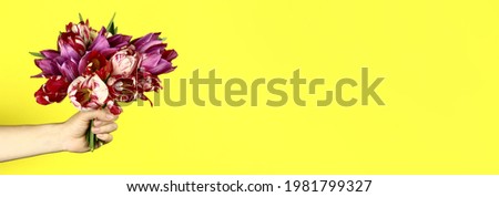 Hand with a bouquet of tulips on a yellow background. Horizontal banner. Copy space for text