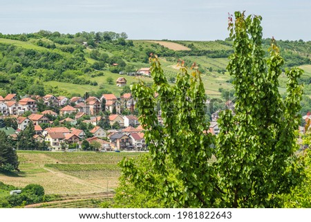 Panorama of the settlement of Sremski Karlovci from the mountain Fruska Gora near Novi Sad.