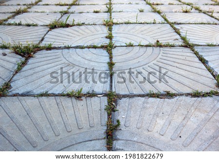 old tiles of the urban floor with grass growing in the joints