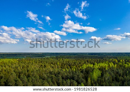 aerial view of a tops of the trees of the spring forest under the blue sky with white clouds, small green leaves have just appeared on the trees.