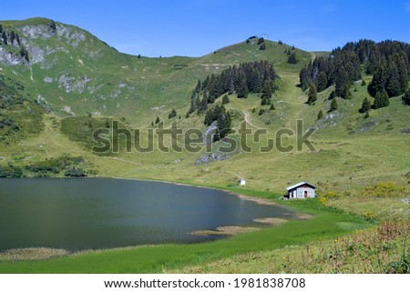 View of the Swiss countryside with pines with clear sky in summer. Small cottage by a small lake at Lac des Chavonnes, Canton Vaud, Switzerland