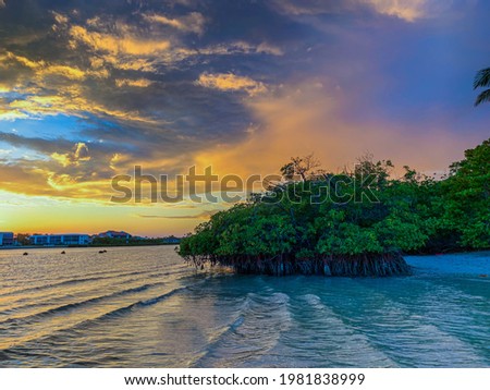 sunset over the mangroves and sea grapes on Jupiter Island, Florida