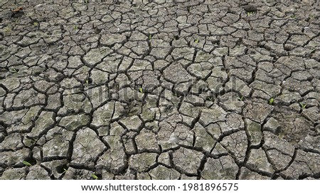 Cracked grey soil in dryness. Illustration of drought season. Suitable for backdrop, background, quote and text copy space in environmental theme