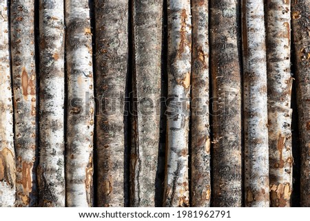 birch logs in rows. the trees are stacked with stacks. timber. High quality photo