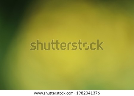 abstract yellowish green background for photos