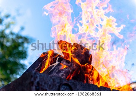 Bright petals of fire on a bright day. The bonfire is at its peak gorenje. Fire against the blue sky.