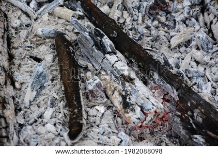 Hot coals and wood in the fire. Texture.