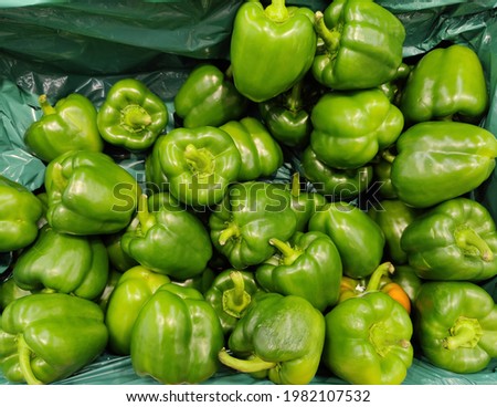 Fresh green peppers on display at a market