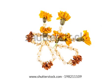 Dried garland flowers isolated on white background