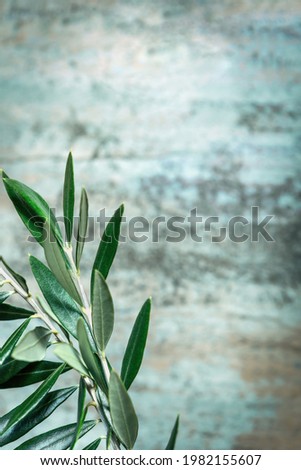 Olive branches over textured wood background with copy-space.