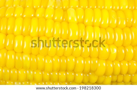 Close up of corn on the cob