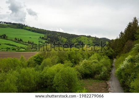 Green valley in the spring. Meadow and field with trees
