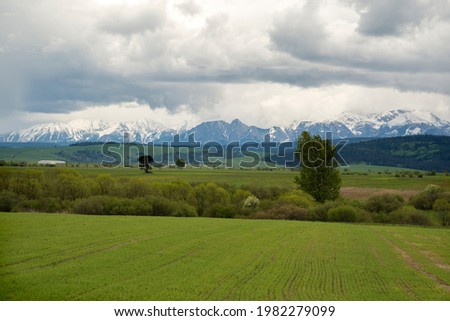Green valley in the spring. Meadow and field with trees
