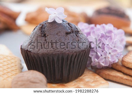 Chocolate muffin and lilac photo