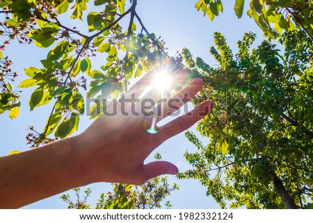 Faceless picture, man's hand covering sunlight, sun shiing through hand, image of human's hand covering sun, bright rays of sun, isolated over park or forest background. Nature concept.