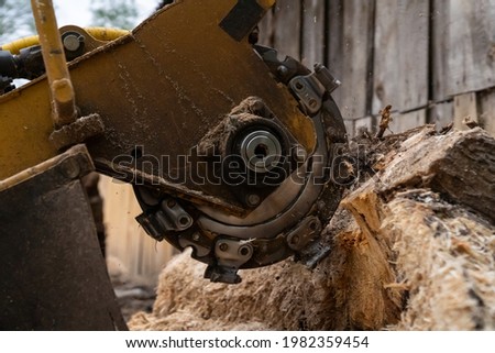 The process of removing a tree stump where the rotating head of the stump cutter grinds a freshly sawn stump.

The shredding disc is stiffened when you can see the blades splitting the stump
 Royalty-Free Stock Photo #1982359454