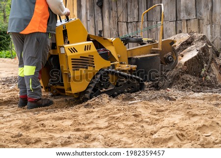 The process of removing a tree stump where the rotating head of the stump cutter grinds a freshly sawn stump.

The blades of the shredding disc divide the stump and the chips fly through the air.  Royalty-Free Stock Photo #1982359457