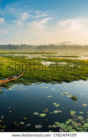 Morning scenes at Vellayani lake near Trivandrum Royalty-Free Stock Photo #1982404109