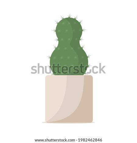 Large green cactus shaped like an eight with sharp needles in trendy, modern, square ceramic flower pot. Prickly cactus Mammillaria. Plant element of design interior. Cartoon vector illustration