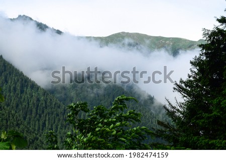 foggy forest landscape. trees visible through the fog. Forest mist, over the river and scenic road through the forest. Zilkale,Rize, Black Sea, Turkey. Z