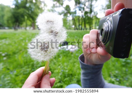 The girl takes pictures of dandelions on the camera. St. Veronica's Day Photographer's Day .