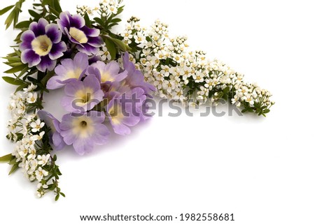 Inflorescences of spring flowers on an isolated white background.Festive composition for congratulations on a holiday, event, important date. 