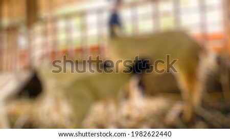 Blurred photo of goat animal in a cage, a photo that is very suitable for use in Islamic religious events