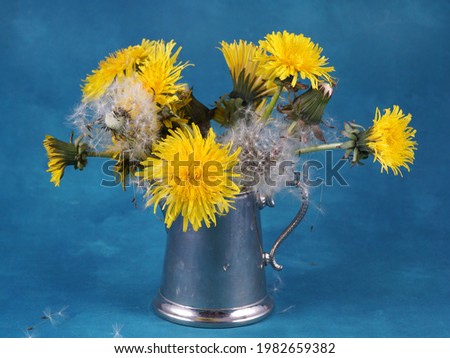                      silver jug with dandelion and seed balls          