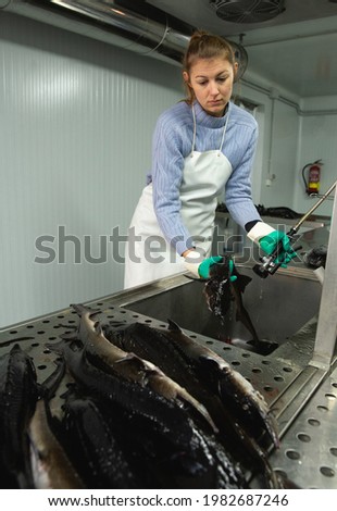Portrait of woman fish farm worker examining and washing sturgeon before packaging