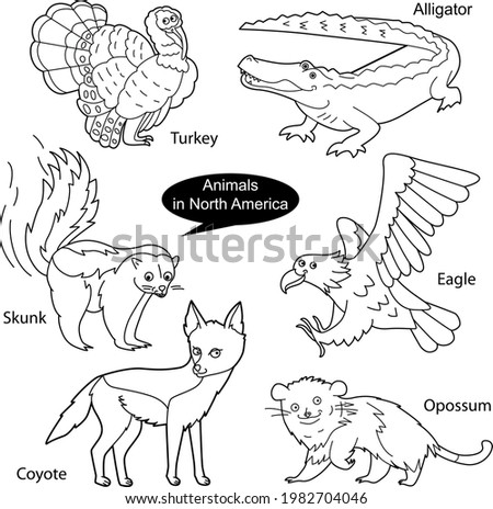 Set with funny cute animals living in North America.  Objects isolated on white background. Linear,  black and white  version. Illustration can be used for coloring book and pictures for children