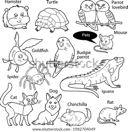 Set with funny cute animals living as pets.  Objects isolated on white background. Linear, contour, black and white  version. Illustration can be used for coloring book and pictures for children