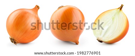 Onion bulbs isolated. Whole golden onion bulb and a half on white background. Onion set. Full depth of field. With clipping path. Royalty-Free Stock Photo #1982776901