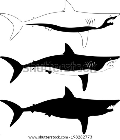 Shark vector silhouette