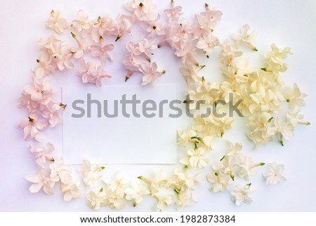 Lilac flowers on a white background. Flat lay, top view, copy space. Floral frame. Frame made of flowers. 
