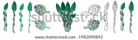 Сollection botanical hand drawn Isolated vector illustration. Asparagus and artichoke as cultivated vegetable for vegetarian nutrition. set applicable for restaurant menu or packaging, label, poster.
