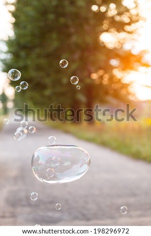 soap bubble outdoor