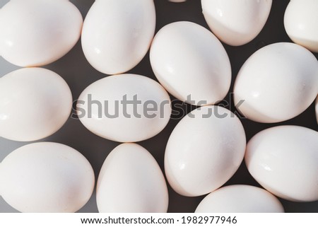 Background of white chicken eggs on a gray background.