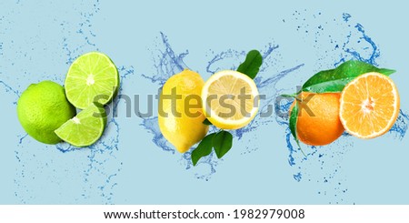 Fresh citrus Fruits with water splash, lemon and lime