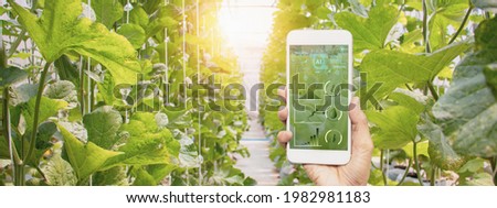 Hand holding smartphone,Organic farm background,agricultural product control technology and agriculture futures trading world market,Using technologies track productivity and Satellite for Agriculture