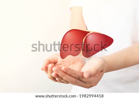 Healthy liver. Human hands holding liver symbol on white background. Protecting against liver disease and organ donation concept. Royalty-Free Stock Photo #1982994458
