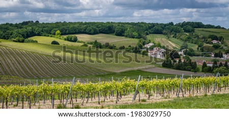 Cognac vineyard, village and Bouteville Church and castle, vintage great champagne Royalty-Free Stock Photo #1983029750