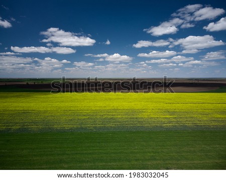Aerial View of landscape with yellow rape agricultural fields, springtime.