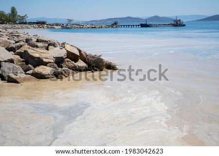 sea saliva and environmental pollution in the marmara sea Royalty-Free Stock Photo #1983042623