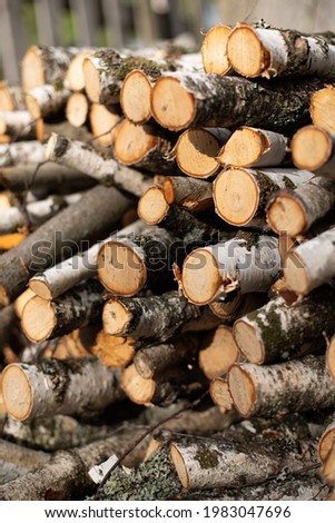 Stack of wood. Firewood. Log